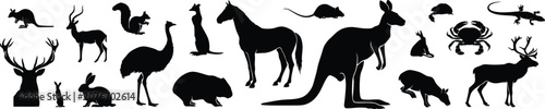 Photography Black silhouettes of various animals including birds and mammals wildlife