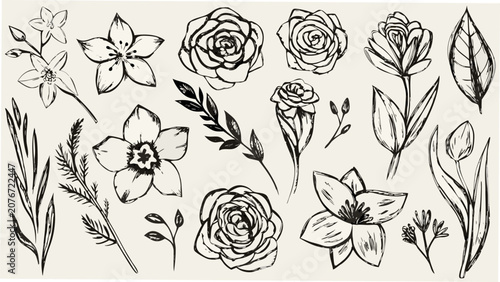 Bild auf Leinwand A collection of sketched floral ornaments in black and white featuring various b