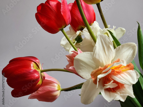 Festive bouquet of tulips. Tulips on a light background