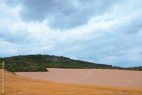 Czech Republic: scenic rural landscape with undulating golden grain fields and green forested hills under dramatic overcast stormy sky canopy.