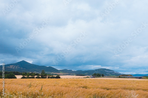 Bohemian Central Highlands, Czech Republic: panoramic rural landscape of extensive golden fields and distant volcanic mountain peaks under clouds.