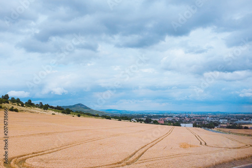 Bohemian Central Highlands, Czech Republic: vast hillside golden wheat field with curved tractor tire tracks, distant town valley under cloudy sky.