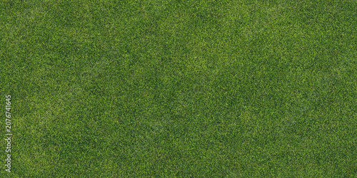 Obraz na płótnie Green grass texture a full frame view of closely cropped lawn blades turf meadow