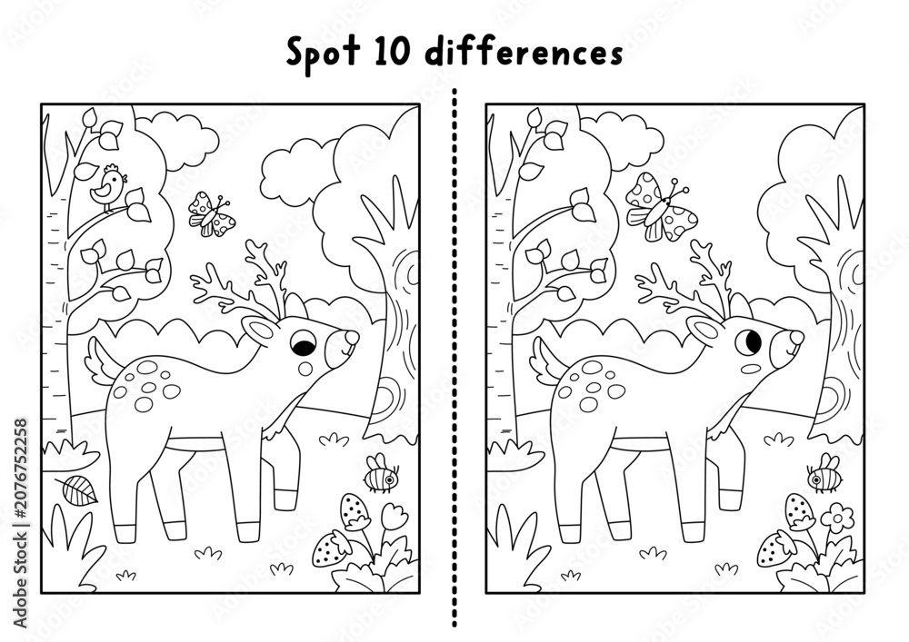 Obraz premium Forest black and white find differences game with deer on meadow, trees, butterfly. Woodland line activity with animal. Puzzle for kids with cute scene. Printable worksheet, coloring page