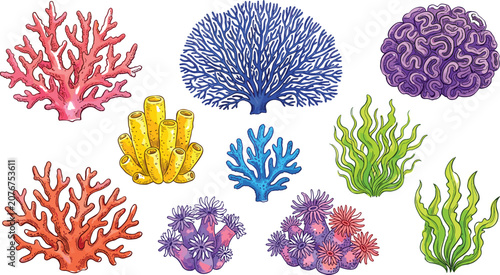 Tableau sur toile Hand Drawn Colorful Coral and Sea Anemone Vector Icon Set Featuring Various Mari