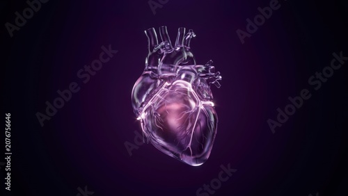 Transparent glass human heart model with glowing internal structure