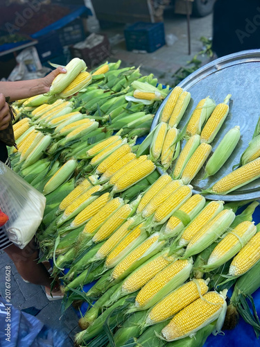 Large display of fresh, raw sweet corn cobs with green husks for sale.