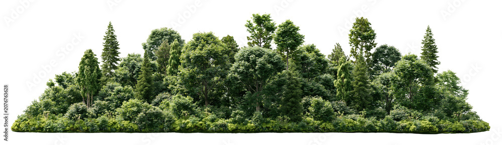 Fototapeta premium Lush green forest island landscape on transparent background