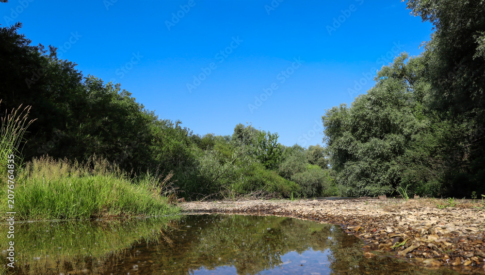 Fototapeta premium The clear, mirror-like water of a shallow river reflects the cloudless blue sky and dense green forests on its banks. A stony pebble shoal stretches along the riverbed, creating a cozy natural corner 