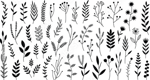 Konstfotografi Set of 50 Hand-Drawn Floral and Plant Vector Designs with Leaves, Stems, and Bra