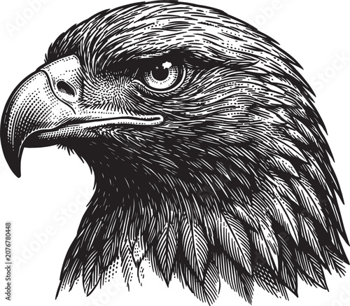 Bild auf Leinwand Majestic eagle head drawing in vintage woodcut style with detailed feathers sharp gaze and powerful beak for emblem design on transparent background