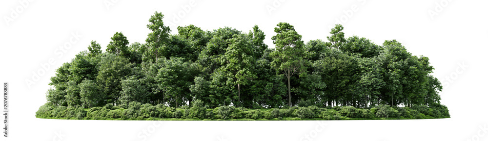 Fototapeta premium Lush green island of trees on transparent background