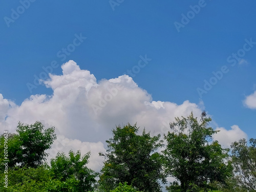 Natural landscape view of clouds in blue sky background and trees, nature photography, cloudscape wallpaper 