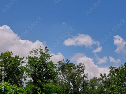 Natural landscape view of clouds in blue sky background and trees, nature photography, cloudscape wallpaper 