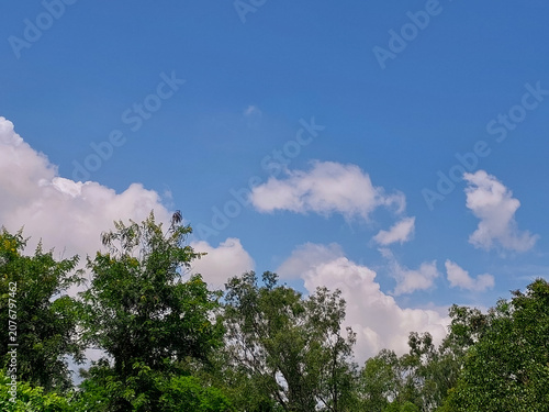 Natural landscape view of clouds in blue sky background and trees, nature photography, cloudscape wallpaper 