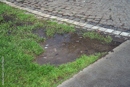 A puddle of water by the side of the walkway. In the midst of green grass.
