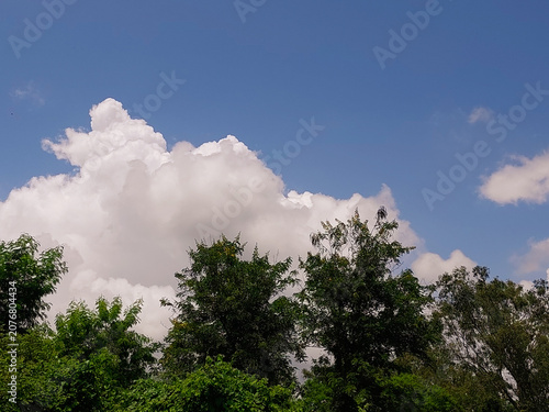 Natural landscape view of clouds in blue sky background and trees, nature photography, cloudscape wallpaper 