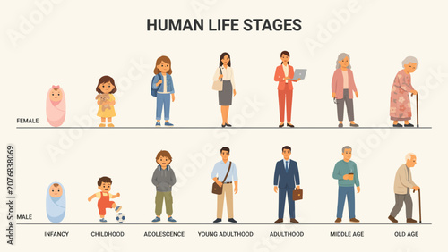 Human life stages illustration showing male and female characters from infancy to old age . Vector illustration.