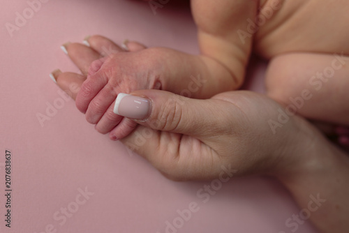 Newborn baby's tiny hand held by an adult's hand on a pink background