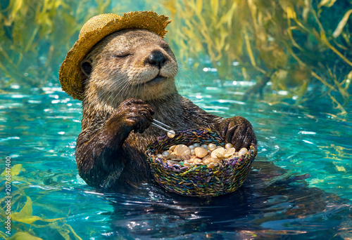 Sea Otter Cheerful Harvest Pearls Seashells Floating Basket