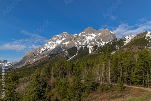 Mountain Surrounded By Lush Trees Under A Blue Sky