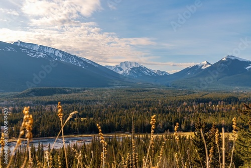 Mountains Meet Endless Forests In Kananaskis