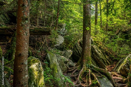 grandfather trail, NC