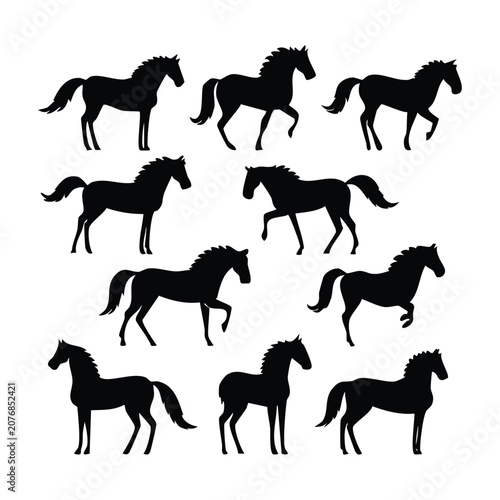 Set of black horse silhouettes in various poses isolated on white background
