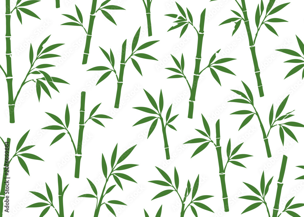 Fototapeta premium Bamboo pattern. Minimalist pattern on a white background.