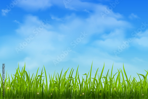 Field or meadow with green spring grass. Realistic horizontal landscape background with blue sky and lawn. Vector illustration.