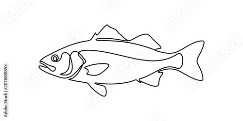 Photos Fresh fish illustration, seafood restaurant culinary market branding icon, hand drawn outline vector illustration