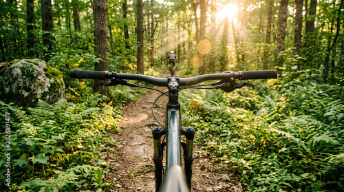 Mountain biking on a forest trail at sunrise