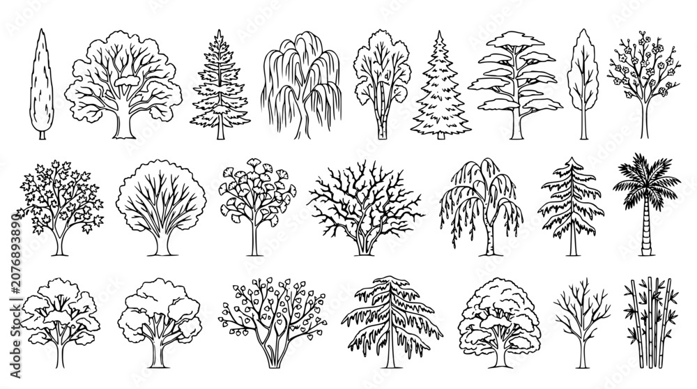 Fototapeta premium Various tree illustrations in a vector graphic design style