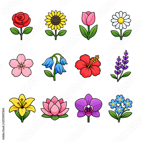 Set of colorful vector floral icons featuring various garden and wild flowers.