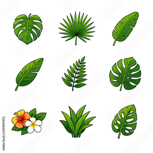 Set of hand drawn tropical leaves and exotic flowers illustrations.