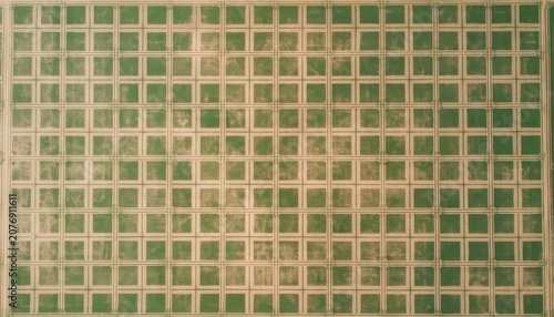 Abstract Golden Green Grid Mosaic Pattern Close Up.