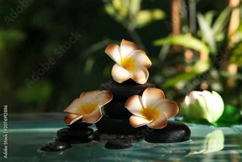 Photography Lake with spa stones and beautiful plumeria flowers in tropical bamboo garden