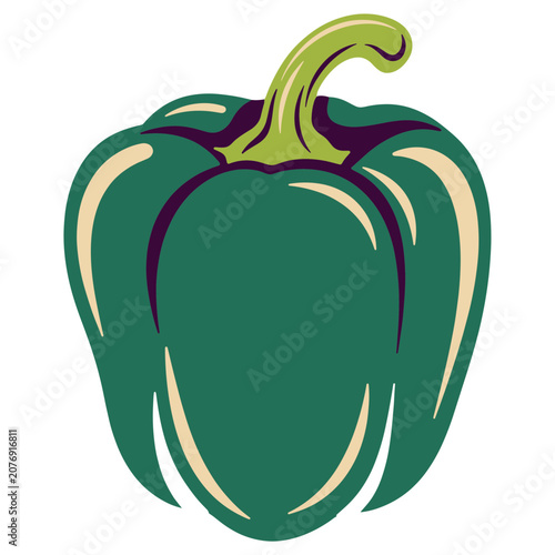 Green Bell Pepper Vector Illustration