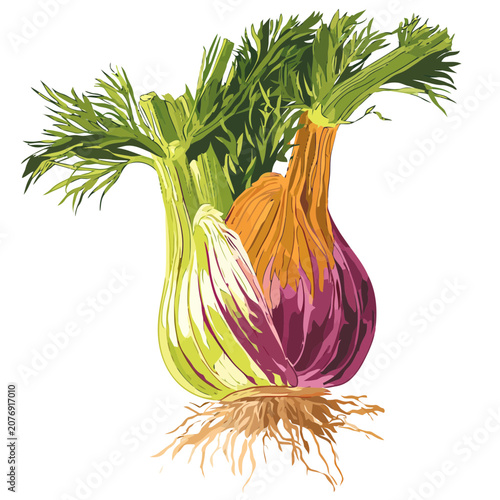 Illustration of onion and leek with roots and leaves