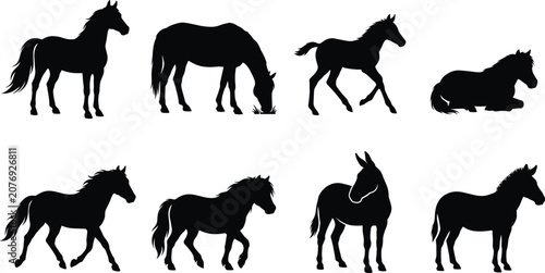 Foto Horse and Donkey Silhouette Collection Featuring Standing Running Grazing Restin
