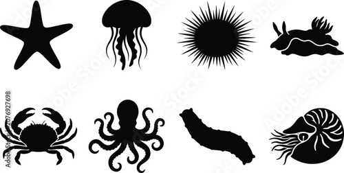 Bild auf Leinwand Marine Invertebrate Silhouette Collection with Starfish Jellyfish Sea Urchin Oct