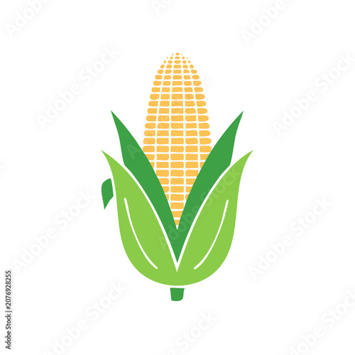 Flat illustration of a corn cob with green leaves