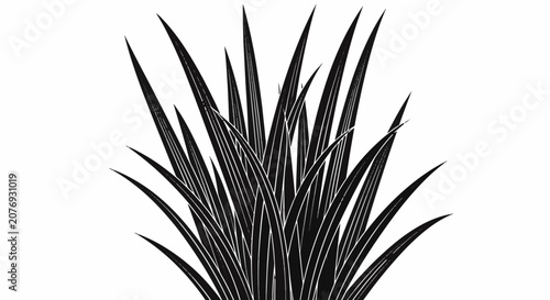 Solid black silhouette of marsh reeds and tall blades of grass isolated on white background. Minimalist botanical illustration of swamp vegetation and pointed foliage design elements.