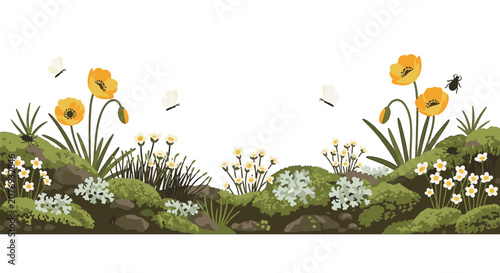 Arctic tundra botanical border with yellow poppies, white wildflowers, green moss, and lichen. Features butterflies and beetles on rocky ground against a white background.