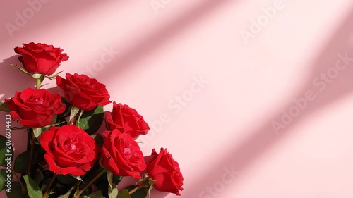 Top down view of vibrant red roses on a pastel pink surface with elegant shadows and plenty of room for text in a clean layout