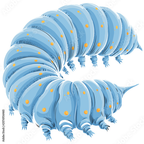 Blue Armadillo Vector Illustration