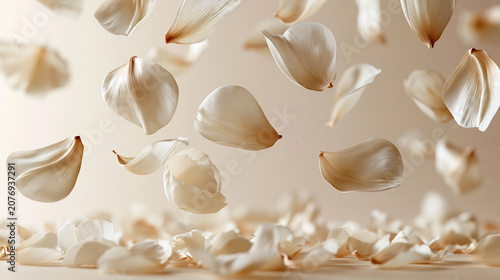 Minimalist Elegant White and Beige Floating Flower Petals