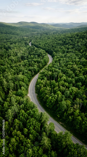 Aerial View of a Scenic Winding Road Cutting Through a Lush Green Forest Landscape Under a Soft Summer Afternoon Sky