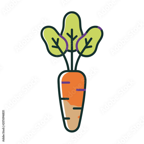 Flat illustration of a carrot with green leaves