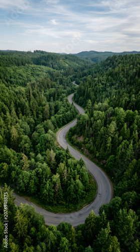 An aerial perspective of a winding asphalt road stretching through a vast dense green forest in a peaceful summer